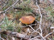 DSCF9821.jpg