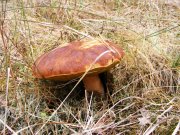 DSCF9850.jpg