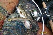 100_3341.jpg