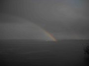 rainbow copy.jpg