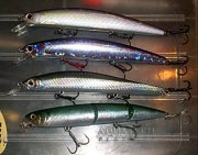 100_3329.jpg