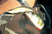 100_1667.jpg