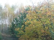 PA230008.jpg