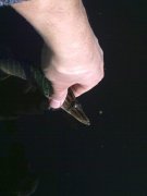 24102011698.jpg