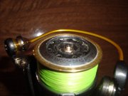 DSC04058.jpg