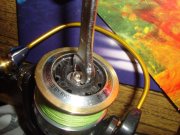 DSC04059.jpg
