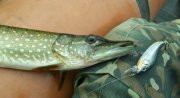 100_1627.jpg