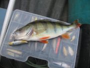 IMG_0096.JPG