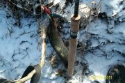 100_2465.jpg