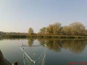 DSC01793.jpg