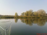 DSC01794.jpg
