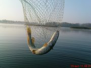 DSC01790.jpg