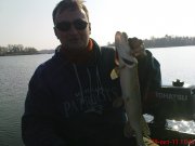 DSC01795.jpg