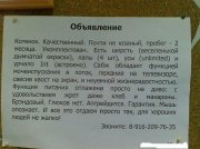 x_04a3c602.jpg