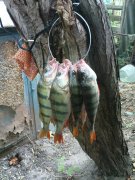 DSC01400.JPG