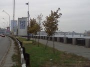IMG20111106_001.jpg
