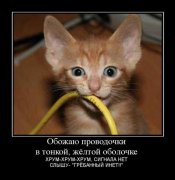 1306613570_demotivator003.jpg