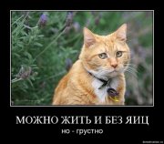демка3.jpg