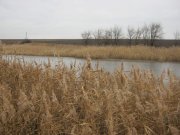 IMG_0506.jpg