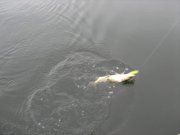 фидер чкаловка 2011 023.jpg