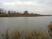 15112011260н.JPG