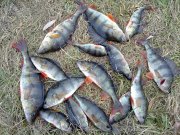 15112011261н.JPG