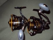 DSC03726.JPG