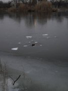 26112011_4_frm.jpg
