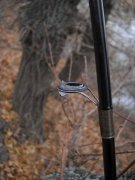 26112011_5_frm.jpg