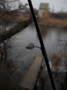 26112011_6_frm.jpg