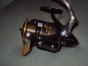 DSC03731.JPG