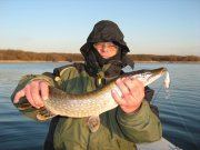 Софиевское 18.12.2011 002.jpg