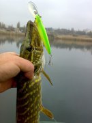 161120111386.jpg