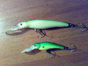 Evergreen Kicker Eater n Spin Move Shad.jpg