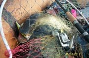 100_3320.jpg