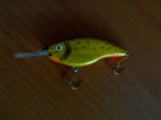 060120121583.jpg