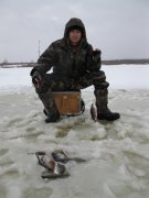 блешня крабік.jpg