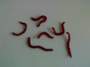 260120121607.jpg
