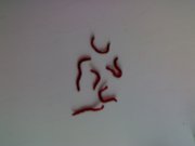 260120121608.jpg