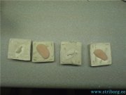 1810_7ba4c766a9ec_1.jpg