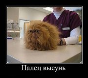 1327396247_demotivatry_07.jpg