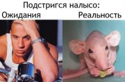 1326963027_podb_00.jpg