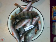 050220121093.jpg