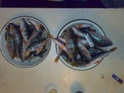 050220121094.jpg