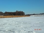 DSCN2146.jpg