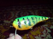 DSC01625.jpg