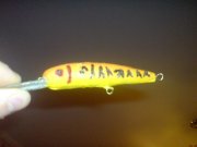 DSC01636.jpg