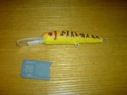DSC01637.jpg