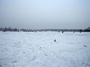 IMG_0101_1.JPG