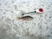IMG_0099_1.JPG